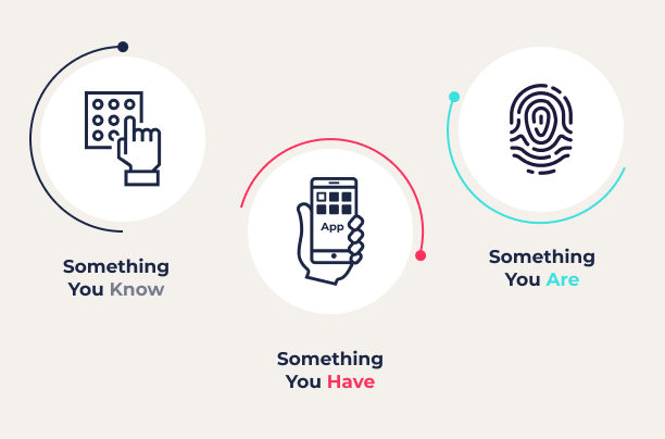 Factors of Biometric Authentication with Transmit Security