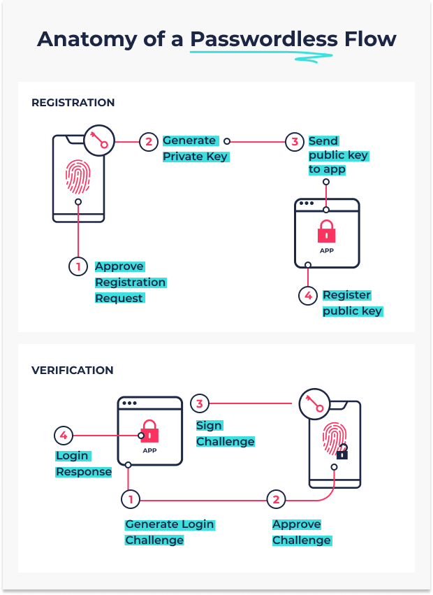 A flow diagram of the anatomy of passwordless authentication