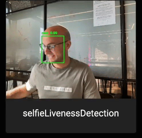 Transmit Security IDV demo for distinguishing human faces