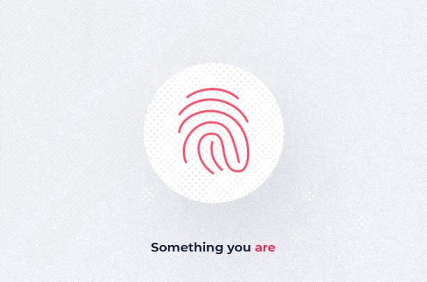authentication factors: something you are, biometrics